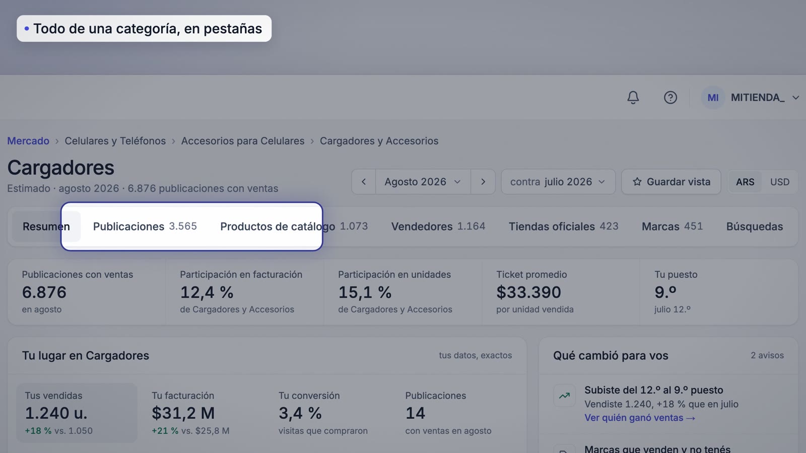 Resumen de una categoría con sus pestañas