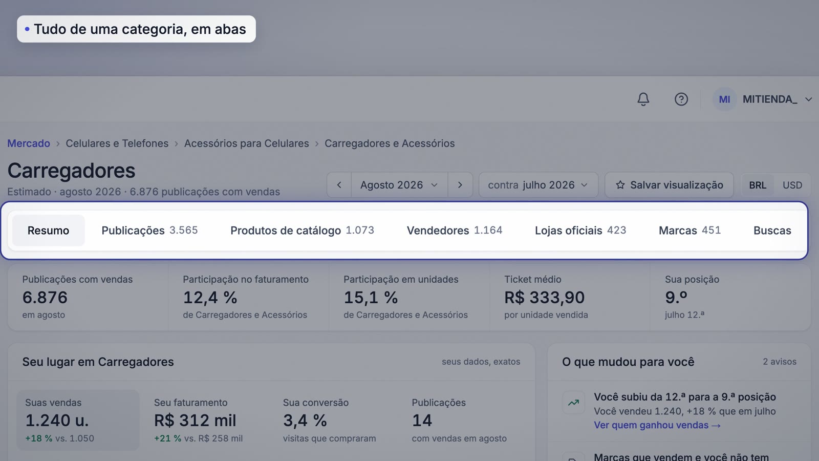 Resumo de uma categoria com as abas